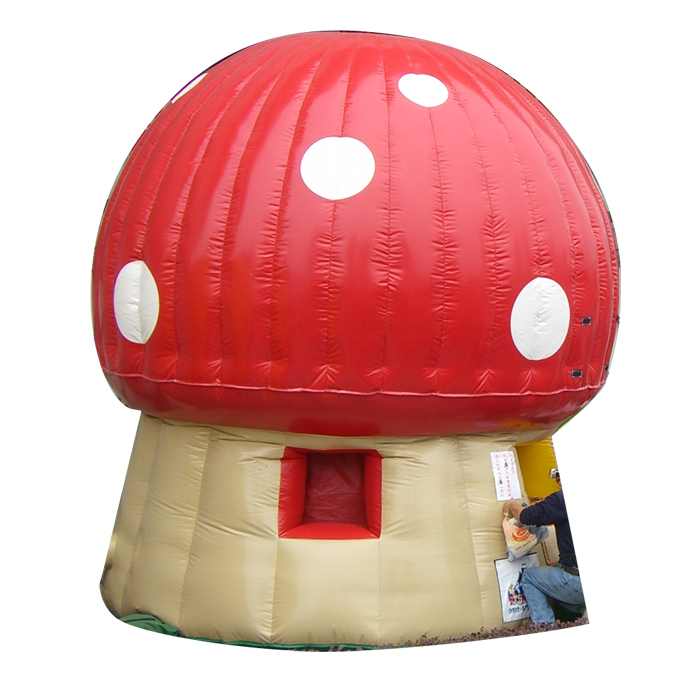 Inflatable Bounce KLBO-003
